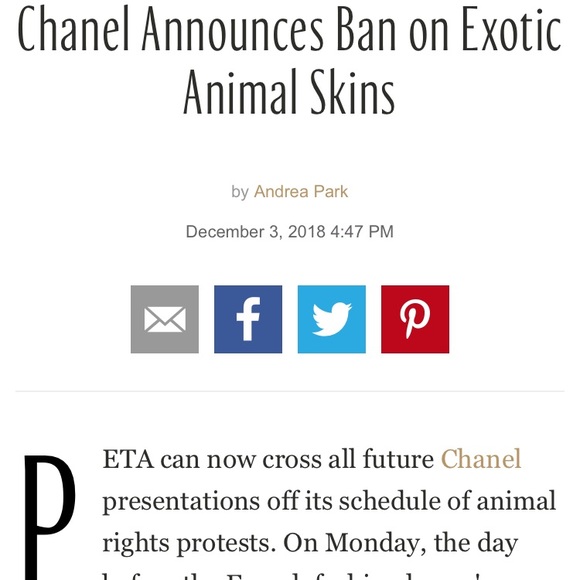 Chanel Python Cerf Tote - Picture 4 of 4